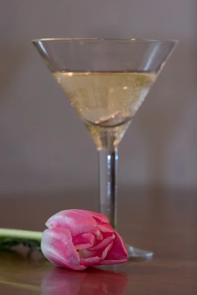 Тюльпан с бокалом вина — стоковое фото