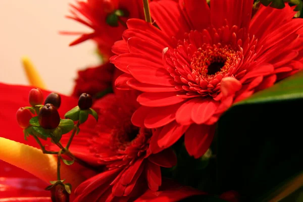 Roter Strauß mit Rosen — Stockfoto