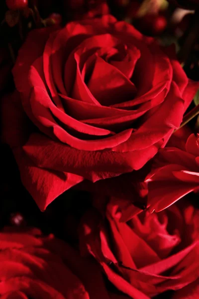 Красный букет с розами — стоковое фото