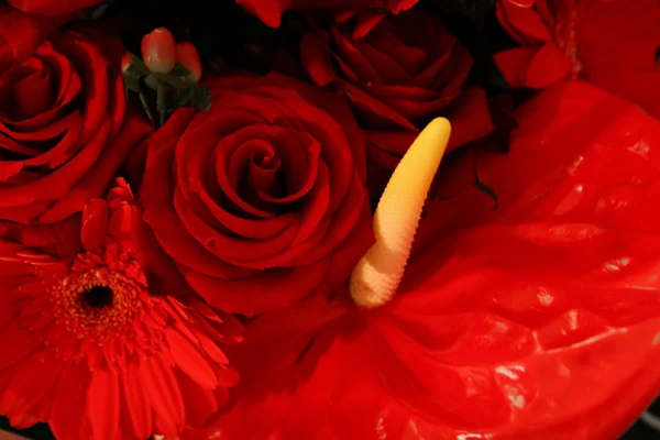 Red bouquet with roses — Stock Photo, Image
