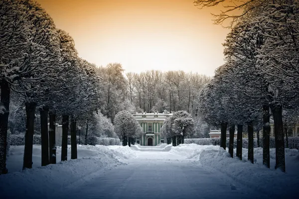 Hermoso invierno en Kuskovo — Foto de Stock