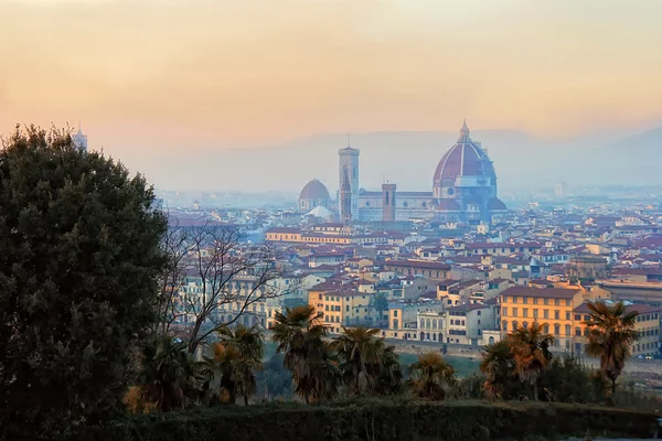 stock image Florence panorama
