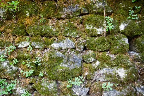 Steinmauer — Stockfoto