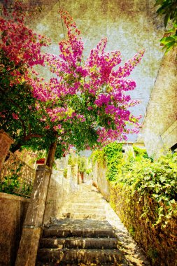 Street of Herceg Novi clipart