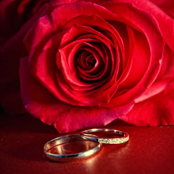 赤いバラと結婚指輪 — ストック写真