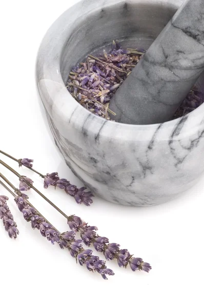 Mörtel und Lavendel — kostenloses Stockfoto