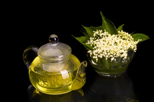 Medicina alle erbe, tè con fiori di sambuco — Foto Stock