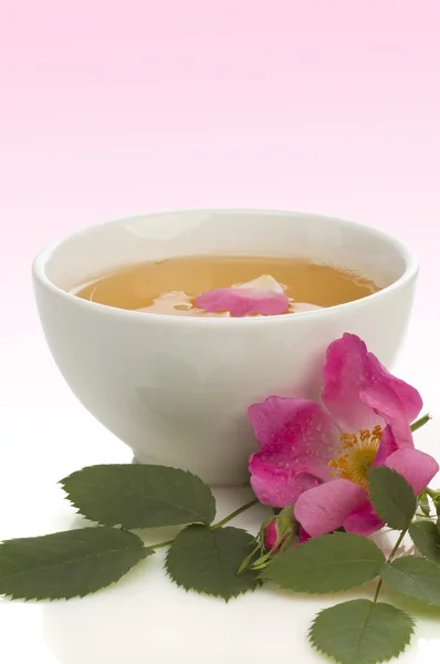 Чай с лепестками роз — стоковое фото
