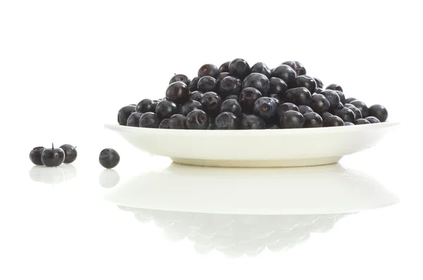 Bilberries on plate — Stock Photo, Image