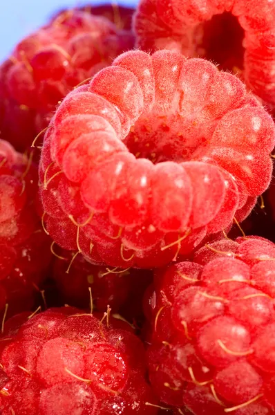 Raspberries — Free Stock Photo