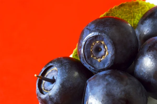 Bilberries close-up — Stock fotografie