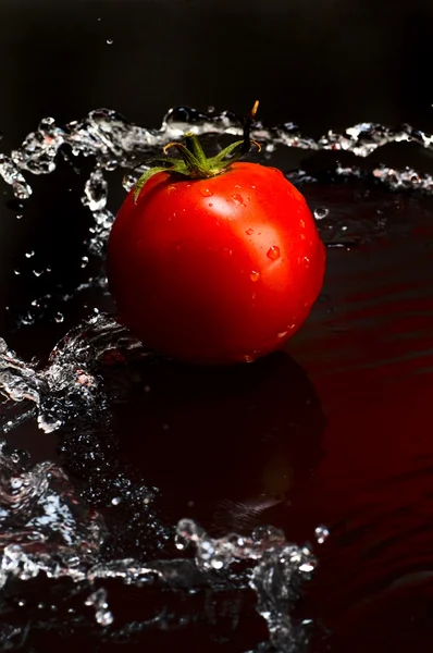 Spritzende Tomaten — Stockfoto