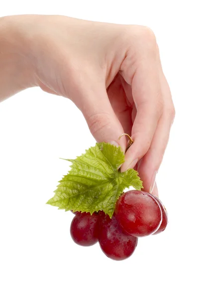 Виноград в руке изолирован — стоковое фото