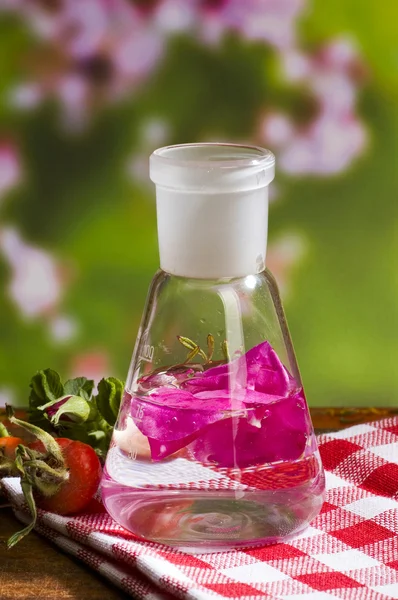 Medicina herbal: rosa — Fotografia de Stock