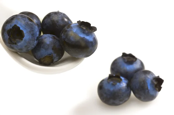 Bilberries close-up — Stock Photo, Image