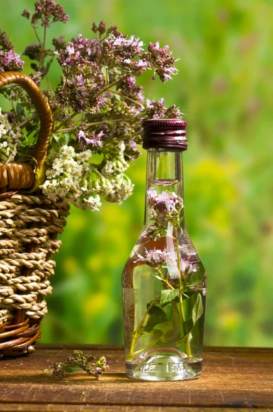 Medicina herbal: mejorana —  Fotos de Stock
