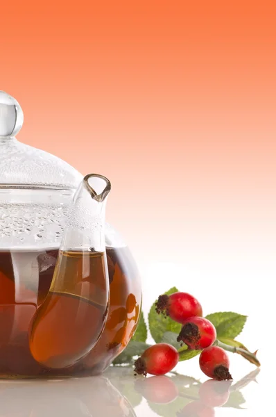 Hips berry tea — Stock Photo, Image