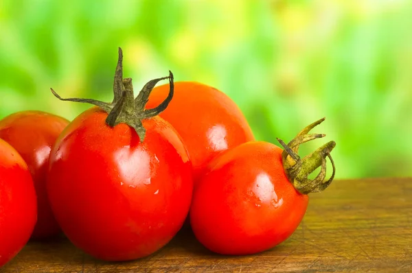 Tomat masih hidup — Stok Foto