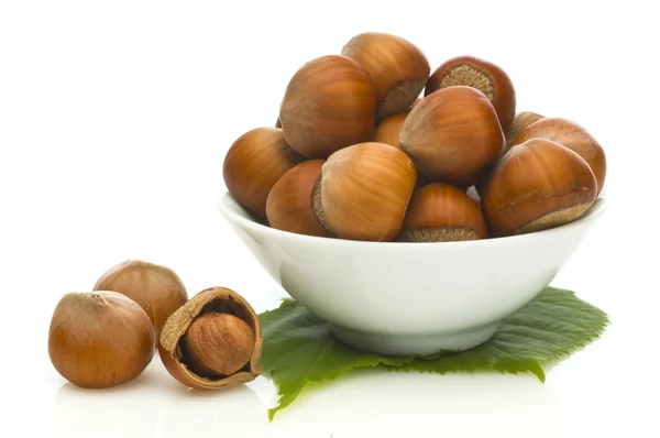 Hazel nuts — Stock Photo, Image