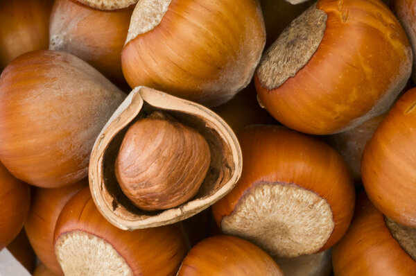 Орехи Хейзел
