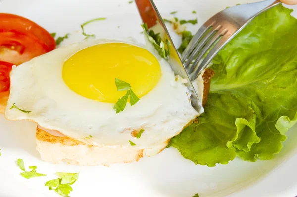 Egg dish breakfast — Stock Photo, Image