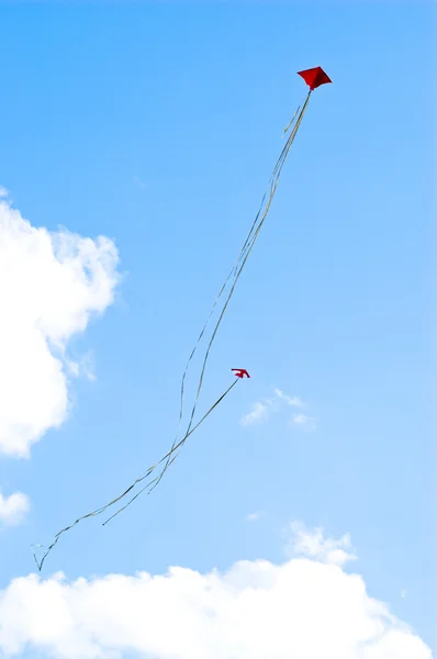 Красочный воздушный змей — стоковое фото