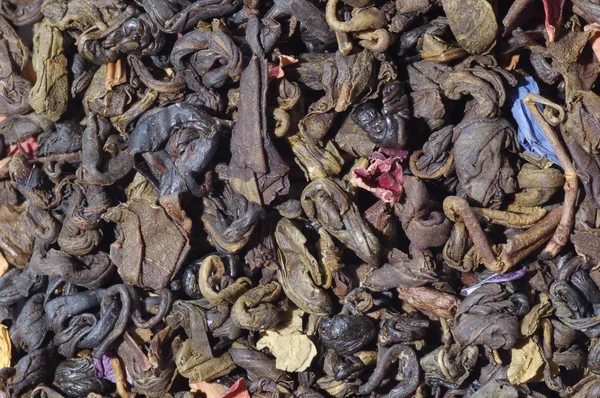 Hojas de té verde fondo — Foto de Stock