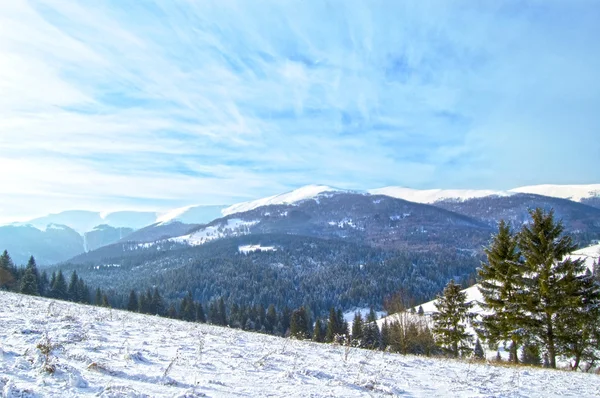 Winterlandschaft — kostenloses Stockfoto