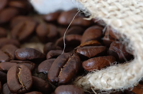 커피 콩의 클로즈업 — 스톡 사진