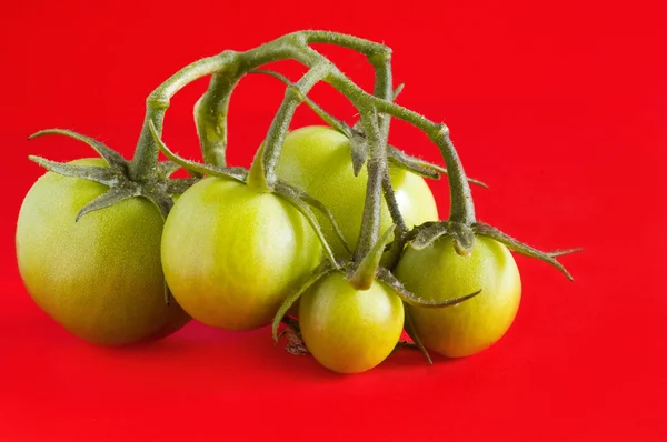 Tomates verdes em vermelho — Fotografia de Stock