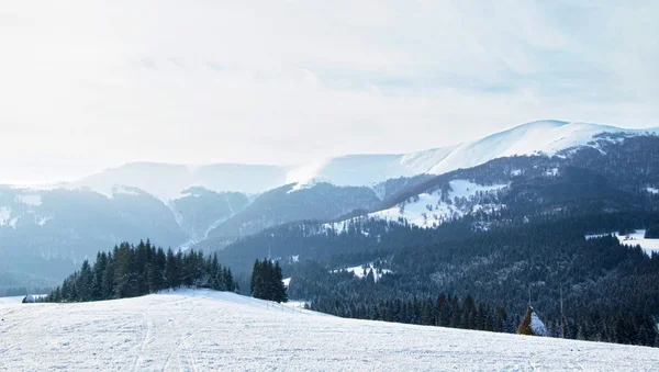 Peisaj de iarnă — Fotografie de stoc gratuită