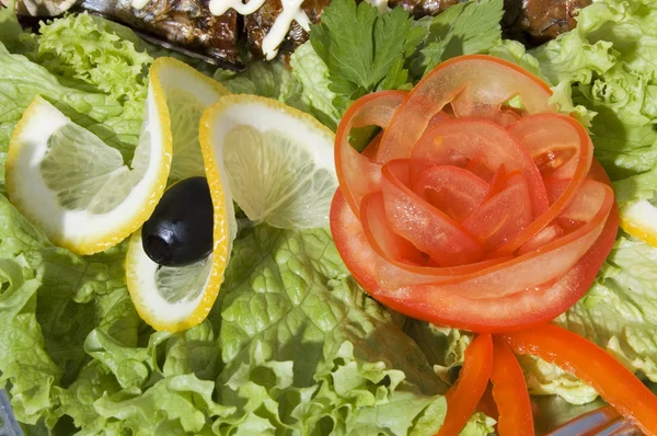 Menu restoran: salad — Stok Foto