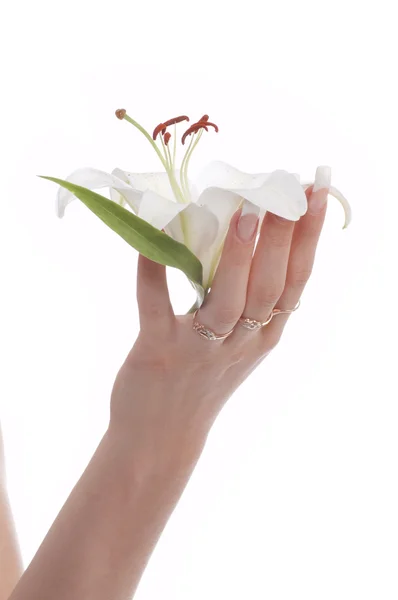 Ženská ruka s květinami — Stock fotografie
