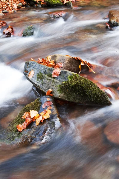 Cascada — Fotografie de stoc gratuită