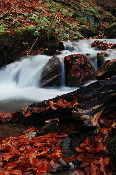 Waterfall — Free Stock Photo