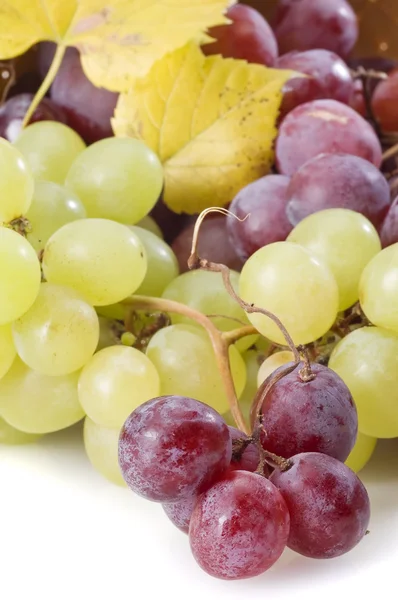 Zbliżenie: winogron — Zdjęcie stockowe