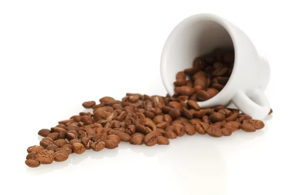 Coffee beans and coffee cap — Stock Photo, Image