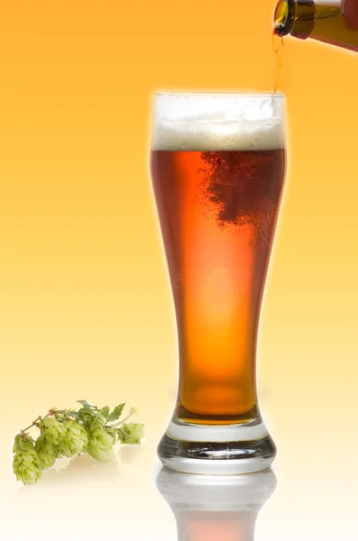 Sklenice piva a chmele — Stock fotografie