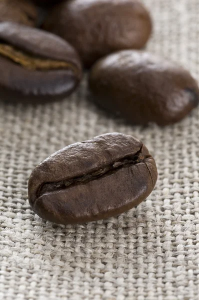 Close-up of coffee beans — Stock Photo, Image