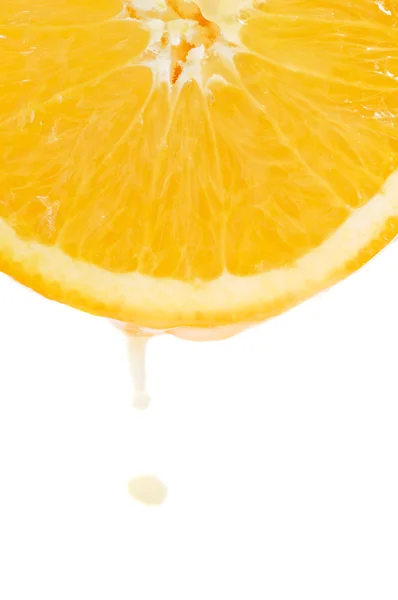 Detail oranžová — Stock fotografie