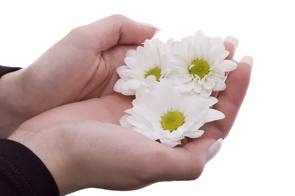 花を持つ女の手 — ストック写真