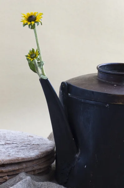 Old kettle — Fotografie de stoc gratuită