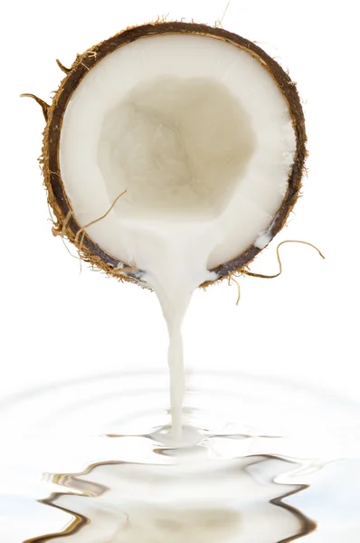 Коко орех изолирован — стоковое фото