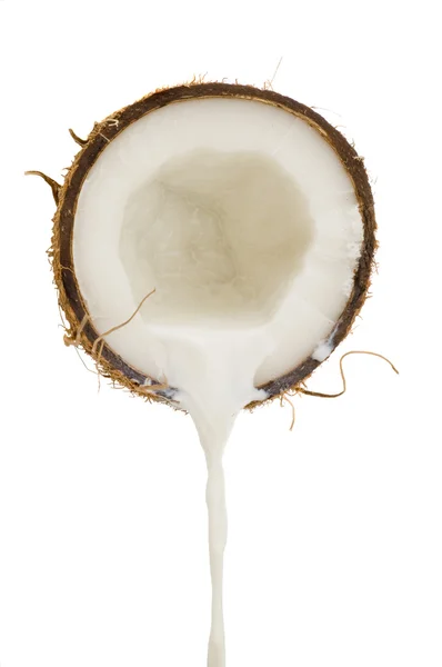 Castanha de coco isolada — Fotografia de Stock