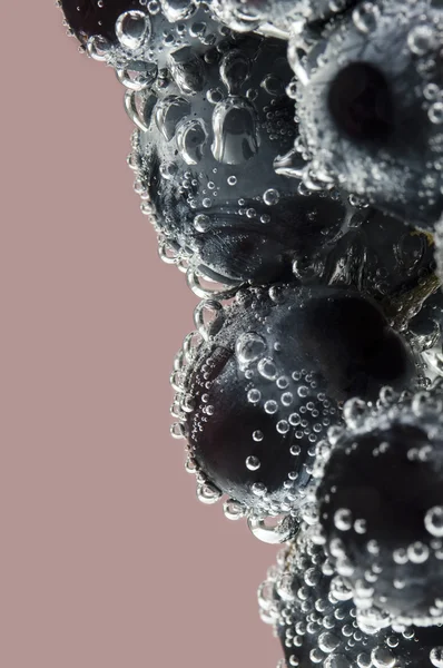 Nahaufnahme von Trauben mit Zwiebeln unter Wasser — kostenloses Stockfoto