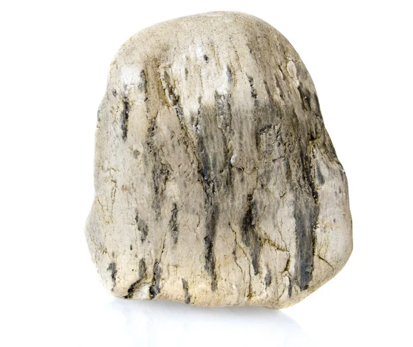 Sea pebble — Stock Photo, Image