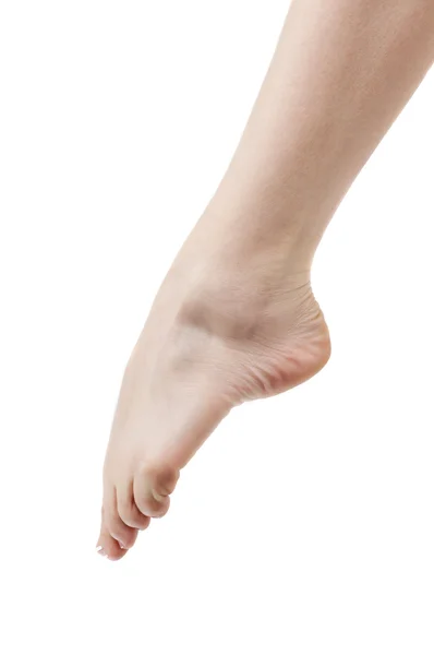 Conceito de cuidados de beleza com perna — Fotografia de Stock