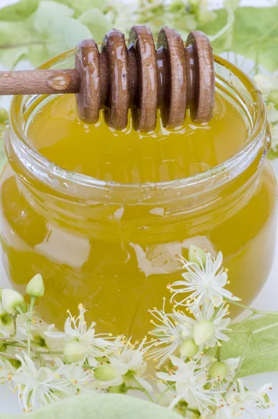 シナノキの蜂蜜 — ストック写真