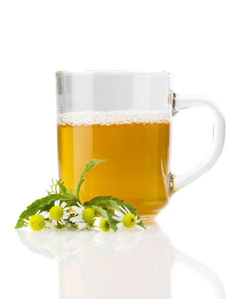 Rumianek i filiżankę herbaty — Zdjęcie stockowe