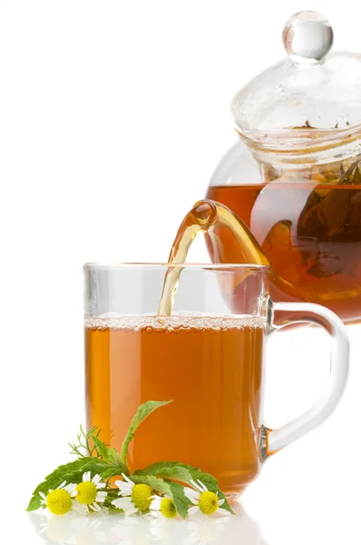 Camomile tea, herbal medicine — Stock Photo, Image